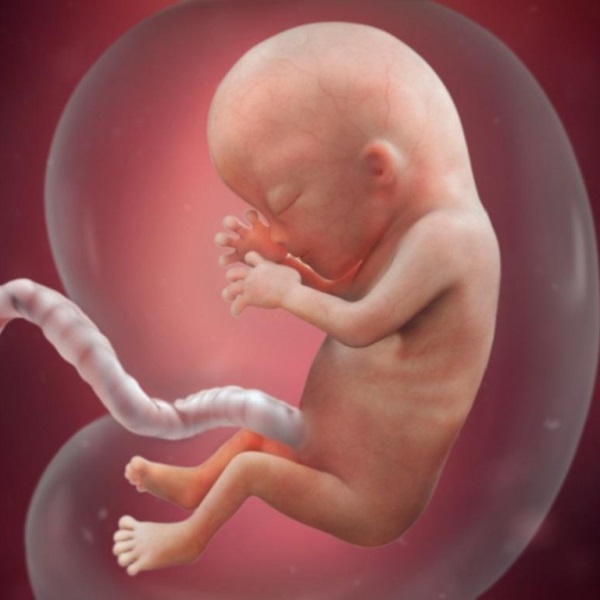 Samen Zwanger - 13 weken zwanger hoofdfoto week 13