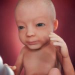 Samen Zwanger – 27 weken zwanger hoofdfoto week 27