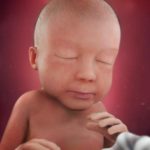 Samen Zwanger – 28 weken zwanger hoofdfoto week 28