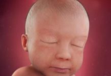 Week 28 Samen Zwanger - 28 weken zwanger hoofdfoto week 28