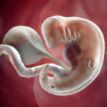 Samen Zwanger – 6 weken zwanger (1)