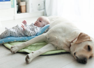 Baby’s en huisdieren Samen Zwanger - Baby's en huisdieren