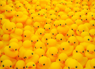 Wat elke ouder al wel vermoedde, blijkt waar: badeendjes zijn écht vies Samen Zwanger - Badeendjes zijn écht vies