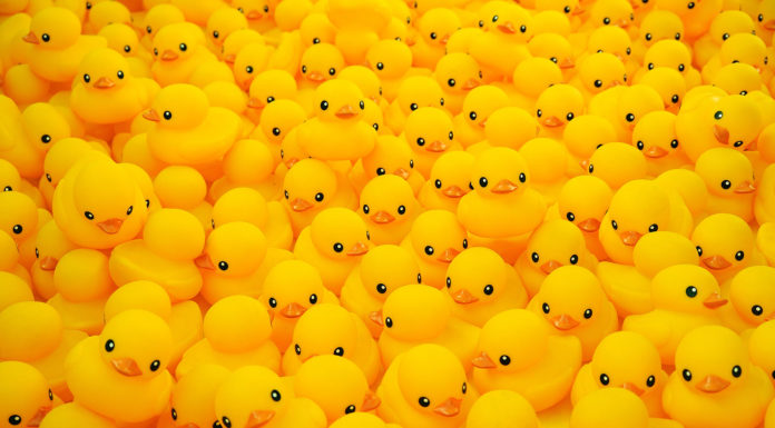 Wat elke ouder al wel vermoedde, blijkt waar: badeendjes zijn écht vies Samen Zwanger - Badeendjes zijn écht vies