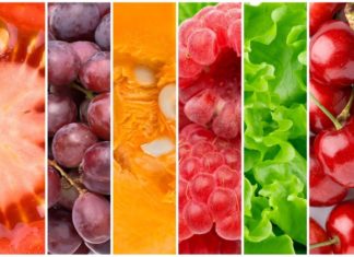 Eet gezond tijdens je zwangerschap! Samen Zwanger - Eet gezond!