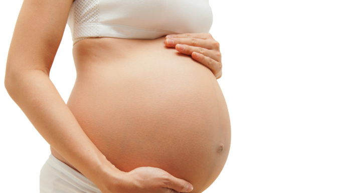 Het zikavirus: Schadelijk voor je ongeboren kindje Samen Zwanger - Het zikavirus