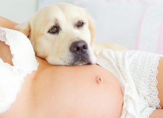 Huisdieren tijdens de zwangerschap Samen Zwanger - Huisdieren tijdens de zwangerschap