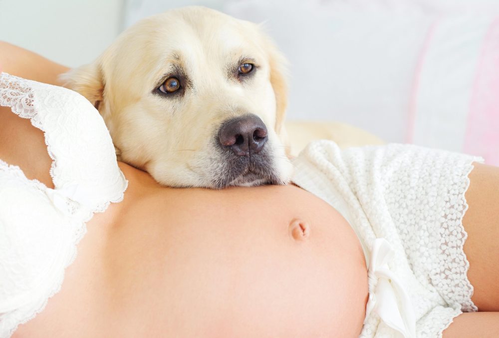 Samen Zwanger - Huisdieren tijdens de zwangerschap
