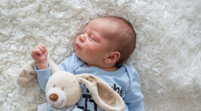 Krentenbaard Samen Zwanger - Krentenbaard