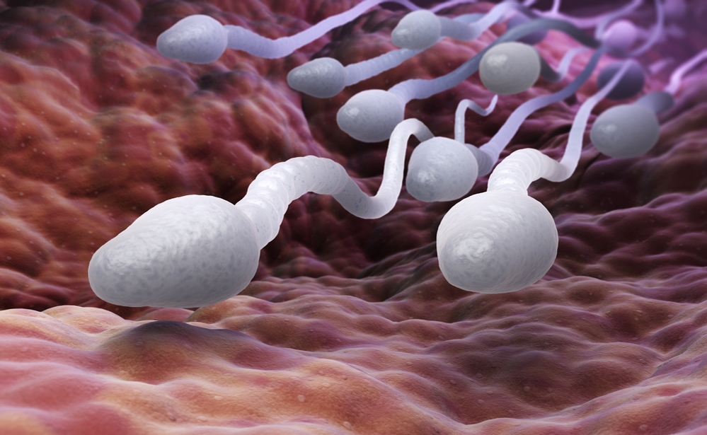 Samen Zwanger - Kwaliteit sperma verbeteren
