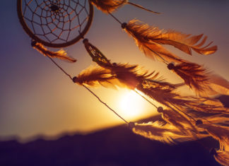 Levendige dromen gedurende de zwangerschap Samen Zwanger - Levendige dromen gedurende de zwangerschap