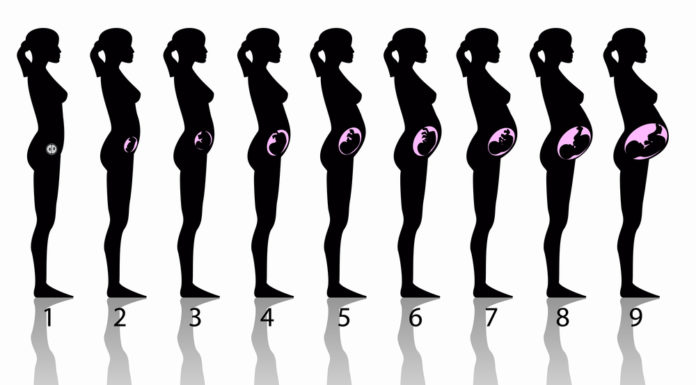 Lichamelijke veranderingen Samen Zwanger - Lichamelijke veranderingen