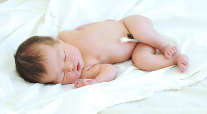 Navelstreng Samen Zwanger - Navel