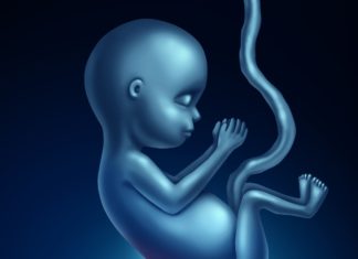 Neurale-buisdefecten: Spina bifida en anencefalie Samen Zwanger - Neurale-buisdefecten Spina bifida en anencefalie