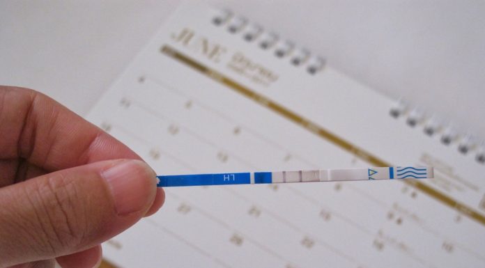 Ovulatietest: Bereken je vruchtbare dagen Samen Zwanger - Ovulatietest