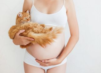 Schadelijke infecties: Toxoplasmose en listeriose Samen Zwanger - Schadelijke infecties