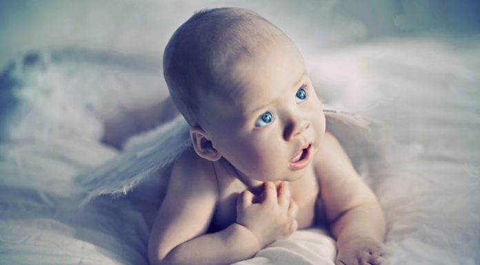 Dunstan Babytaal Samen Zwanger - Dunstan Babytaal