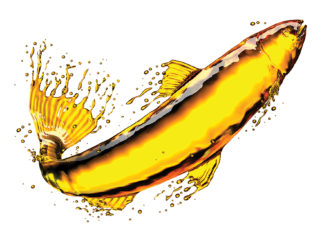 Visolie: Gezond voor jou én de baby Samen Zwanger - Visolie: Gezond voor jou én de baby