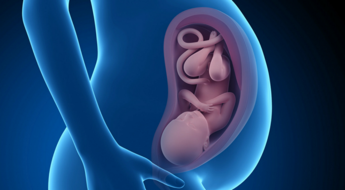 Vruchtwater en vliezen gebroken Samen Zwanger - Vruchtwater en je vliezen