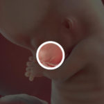 Samen Zwanger _ 11 weken zwanger – trimester 1 week 11 foto 3