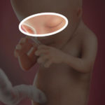 Samen Zwanger _ 12 weken zwanger – trimester 1 week 12 foto (3)