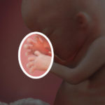 Samen Zwanger _ 13 weken zwanger – trimester 1 week 13 foto (4)