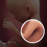 Samen Zwanger _ 16 weken zwanger – trimester 2 week 16 foto (1)
