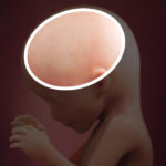 Samen Zwanger _ 16 weken zwanger – trimester 2 week 16 foto (2)