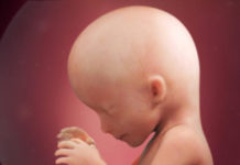 Week 16 Samen Zwanger _ 16 weken zwanger - trimester 2 week 16 foto (4)