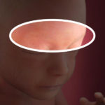 Samen Zwanger _ 21 weken zwanger – trimester 2 week 21 foto (2)