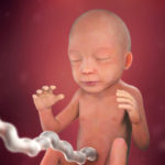 Samen Zwanger _ 22 weken zwanger – trimester 2 week 22 foto (3)