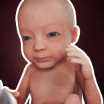 Samen Zwanger _ 27 weken zwanger – trimester 3 week 27 foto (1)