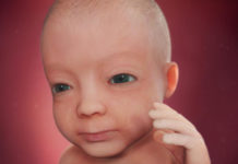 Week 27 Samen Zwanger _ 27 weken zwanger - trimester 3 week 27 foto (3)