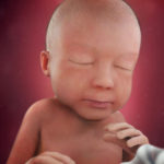 Samen Zwanger _ 28 weken zwanger – trimester 3 week 28 foto (3)
