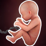 Samen Zwanger _ 29 weken zwanger – trimester 3 week 29 foto (1)