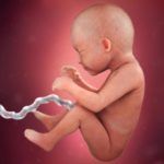 Samen Zwanger _ 29 weken zwanger – trimester 3 week 29 foto (3)