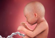 Week 29 Samen Zwanger _ 29 weken zwanger - trimester 3 week 29 foto (3)