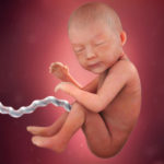 Samen Zwanger _ 30 weken zwanger – trimester 3 week 30 foto (3)