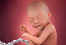 Week 30 Samen Zwanger _ 30 weken zwanger - trimester 3 week 30 foto (3)