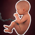 Samen Zwanger _ 31 weken zwanger – trimester 3 week 31 foto (2)