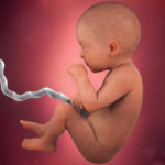 Samen Zwanger _ 31 weken zwanger – trimester 3 week 31 foto (3)