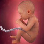Samen Zwanger _ 32 weken zwanger – trimester 3 week 32 foto (3)