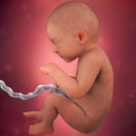 Samen Zwanger _ 33 weken zwanger – trimester 3 week 33 foto (3)
