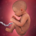 Samen Zwanger _ 34 weken zwanger – trimester 3 week 34 foto (3)