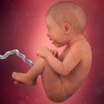 Samen Zwanger _ 36 weken zwanger – trimester 3 week 36 foto (3)