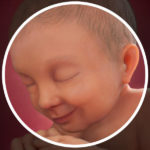 Samen Zwanger _ 37 weken zwanger – trimester 3 week 37 foto (2)
