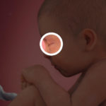 Samen Zwanger _ 38 weken zwanger – trimester 3 week 38 foto (1)