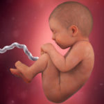 Samen Zwanger _ 38 weken zwanger – trimester 3 week 38 foto (3)