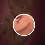 Samen Zwanger _ 39 weken zwanger – trimester 3 week 39 foto (1)