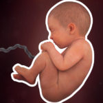 Samen Zwanger _ 39 weken zwanger – trimester 3 week 39 foto (2)